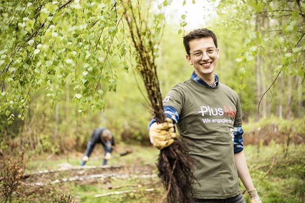 Tree planting